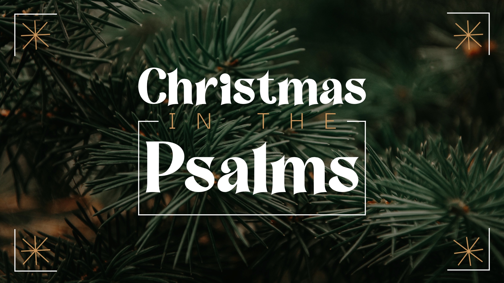 We Need Rescued | Christmas in the Psalms